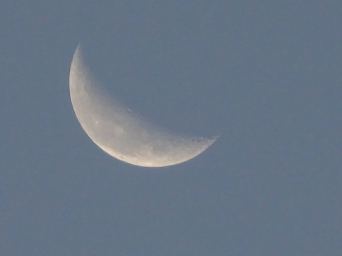 1dsc06814