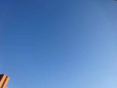 1dsc06818