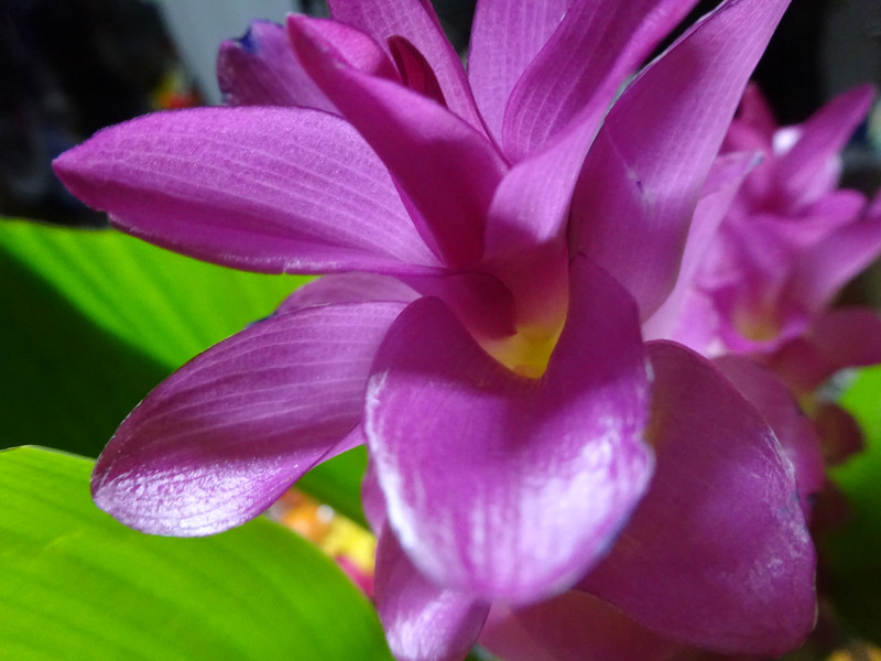 Dsc06787_3