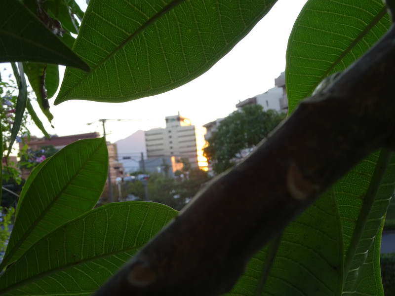 Dsc06804_2