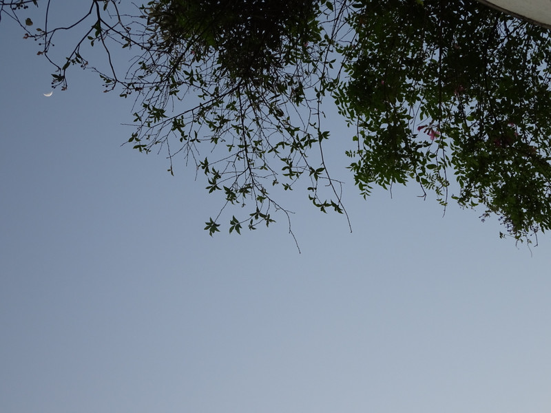 Dsc06812_4