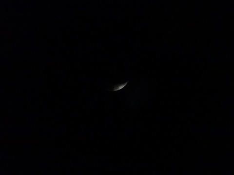1dsc06838