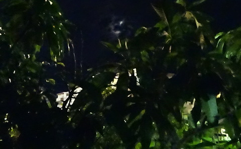 1dsc06847