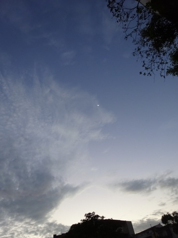 1dsc06878