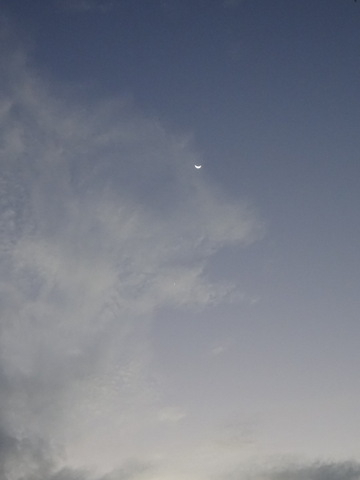 1dsc06879