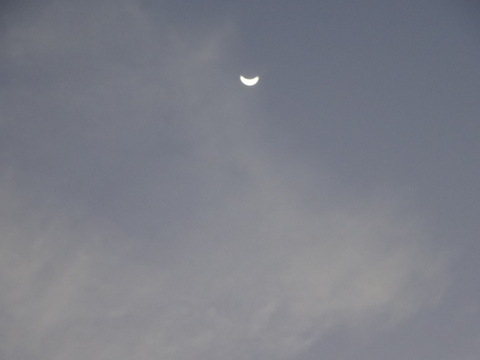 1dsc06881