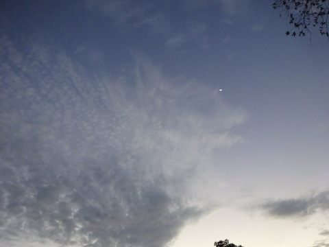 1dsc06883