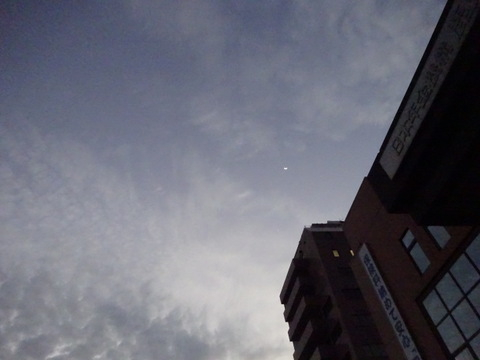 1dsc06886