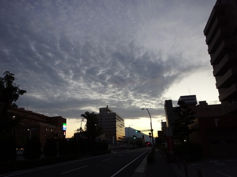 1dsc06888
