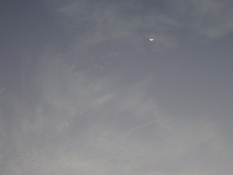 1dsc06891
