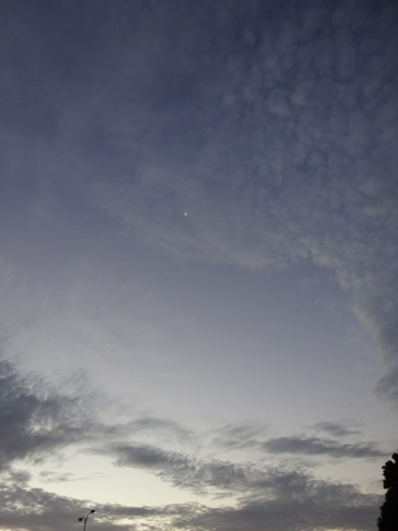 1dsc06892