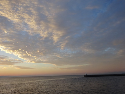 1dsc06944