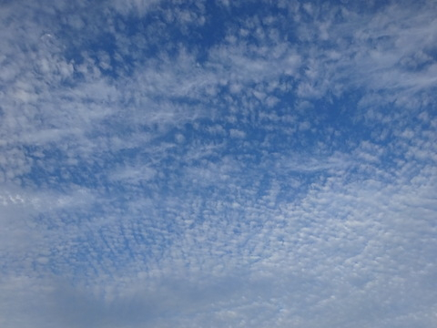 1dsc07051