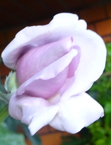 1dsc07068