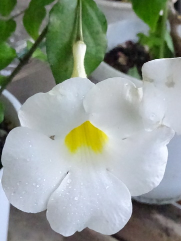 1dsc07069