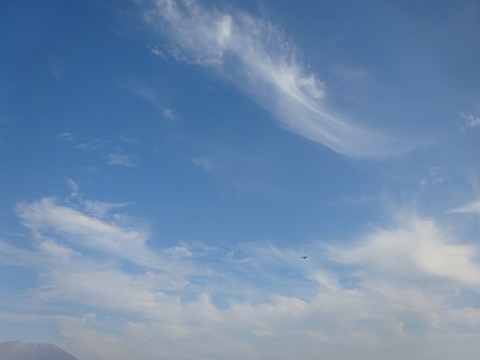 1dsc07074