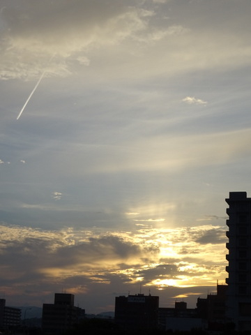 1dsc07105