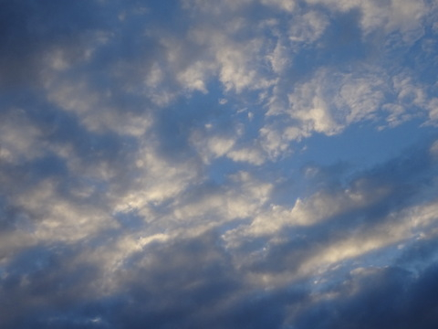 08dsc07200