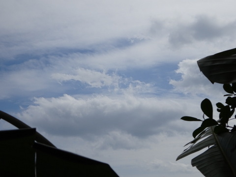 112dsc07142