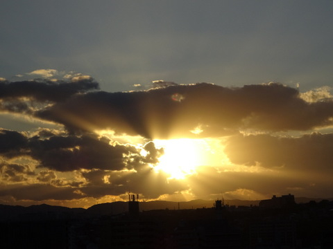 115dsc07145