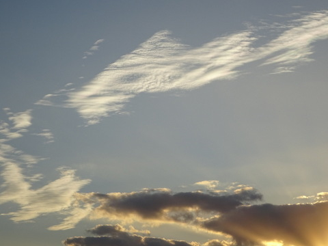 117dsc07147