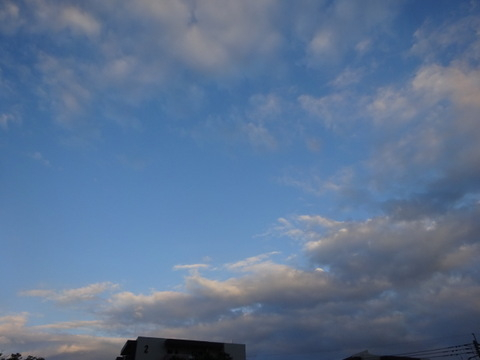 11dsc07203