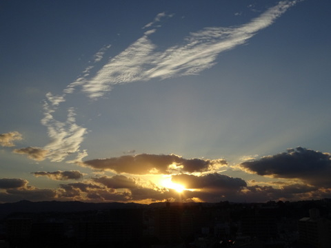 126dsc07156