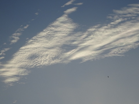 127dsc07157