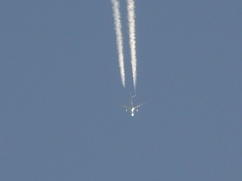 134dsc07164