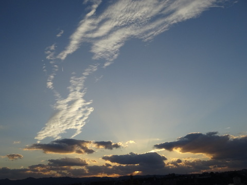 135dsc07165