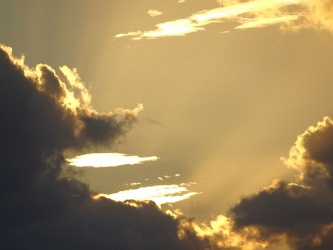 140dsc07170
