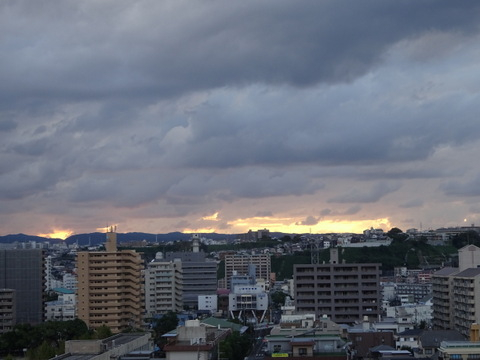 14dsc07206