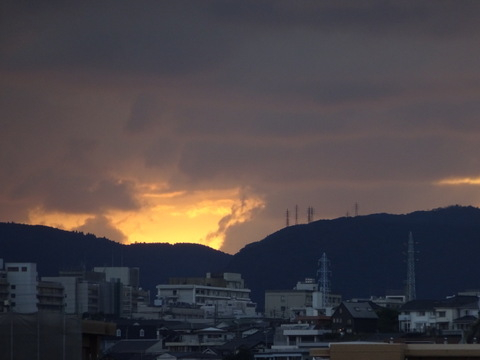 15dsc07207
