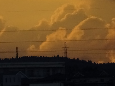 19dsc07211