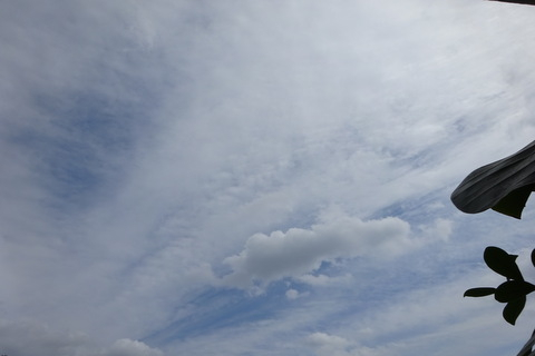1dsc07135
