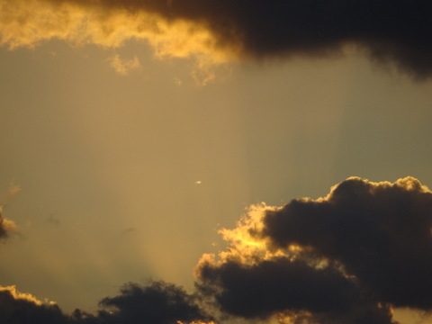 1dsc07174
