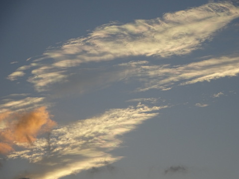 1dsc07181