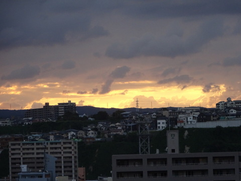 20dsc07212