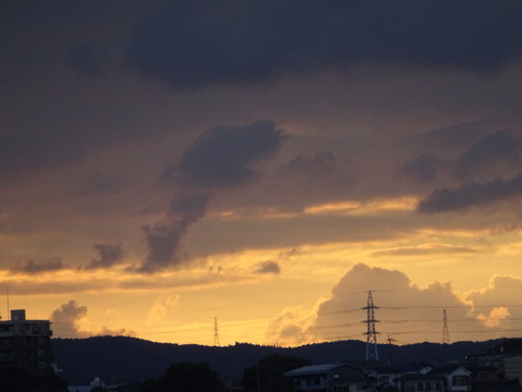 21dsc07213