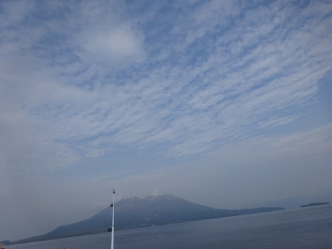 2dsc07123