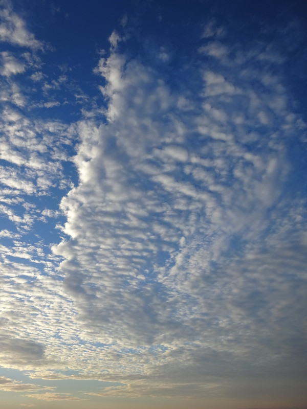 Dsc07002