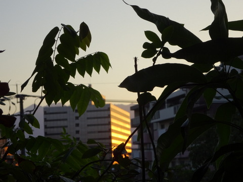 1dsc07215