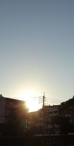 1dsc07219
