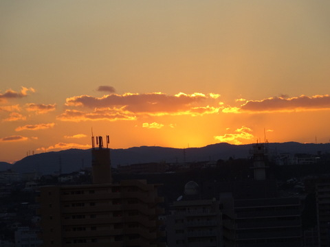 1dsc07246