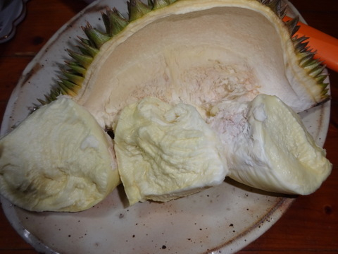 1dsc07254