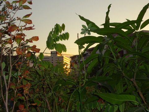 01dsc07257