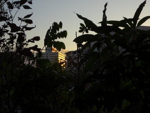 02dsc07258_2