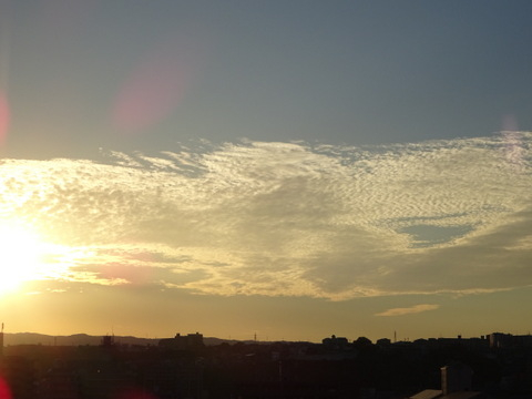 08dsc07264