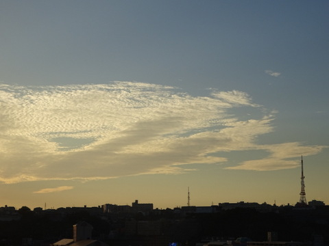 09dsc07265_2