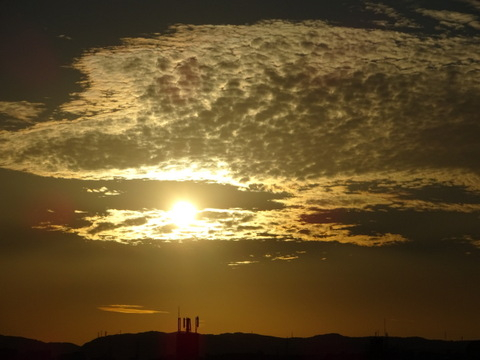 11dsc07267